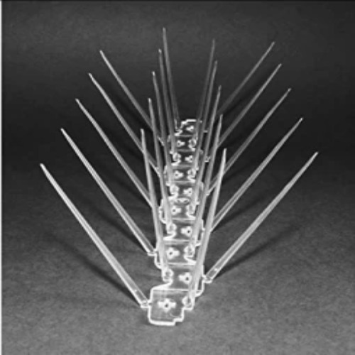 Bird Spikes