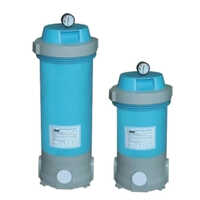 Swimming Pool Cartridge Filter