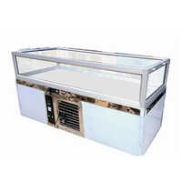 Dead Body Freezer - Stainless Steel Ss912, 1 Body Capacity, Double Walled Unit With Pu Insulation, Digital Temp Control, Power Failure Alarm