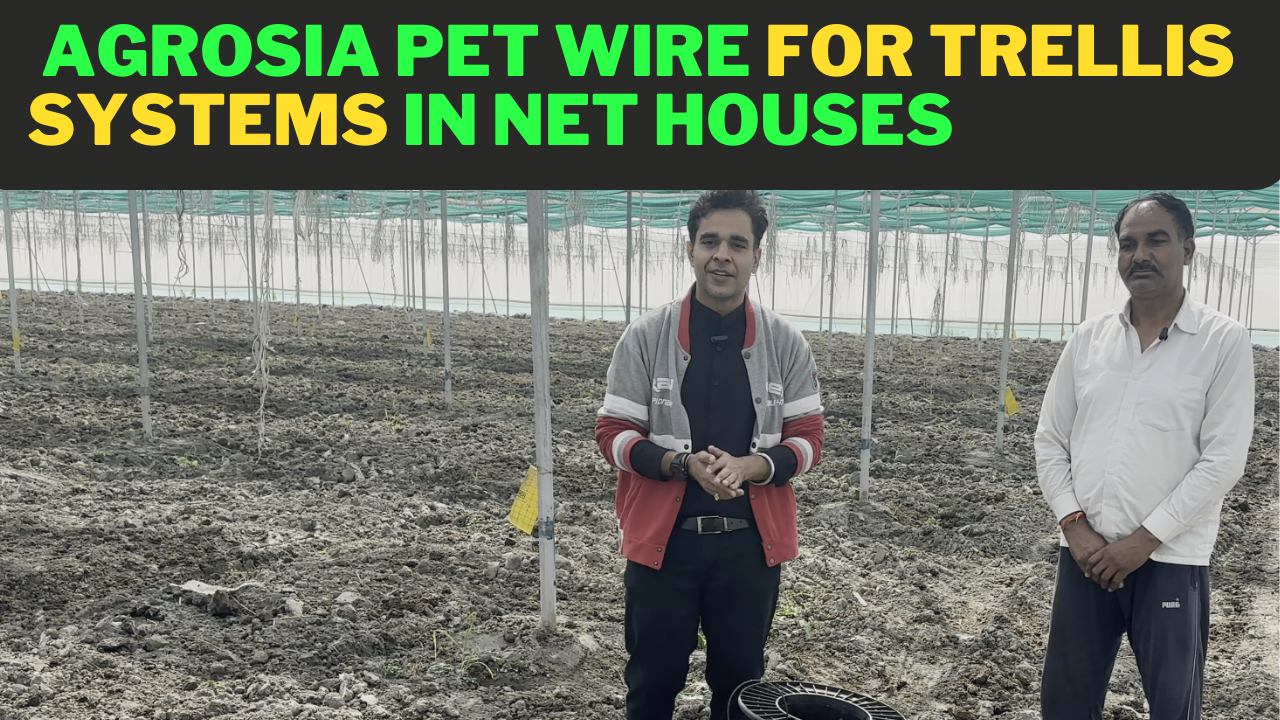 3.5mm Agrosia Pet Wire for net House