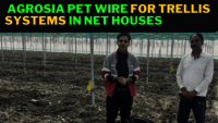 3.5mm Agrosia Pet Wire for net House