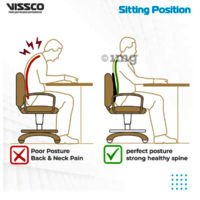 Smart Back Rest - Vissco Universal P.C. No 0121