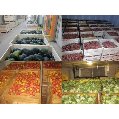 Fruits Vegetables Cold Storage Turnkey Project Services