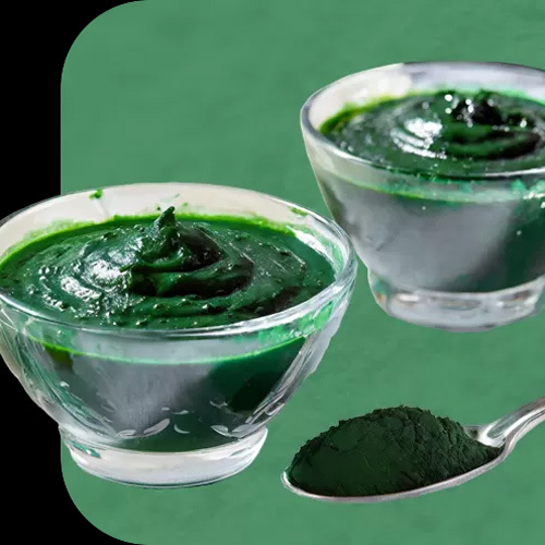 Nutri Fresh Spirulina Puree