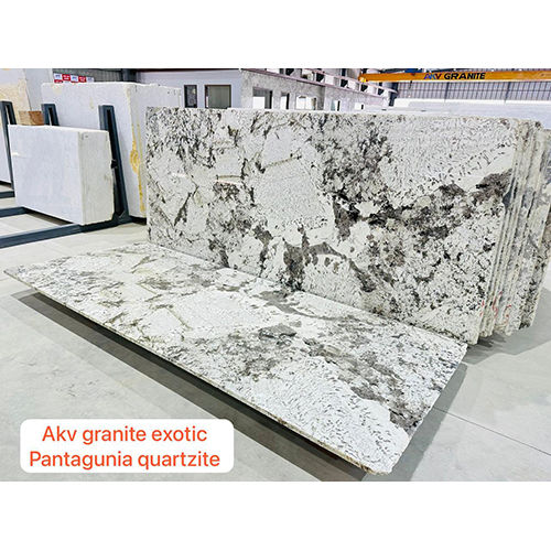 Exotic Pantagunia Quartzite Granite Application: Flooring