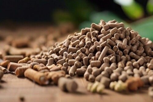 Biomass Pellet