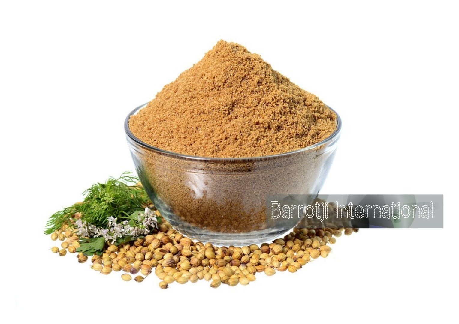 CORIANDER POWDER