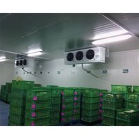 Sliver Vegetable Cold Storage System