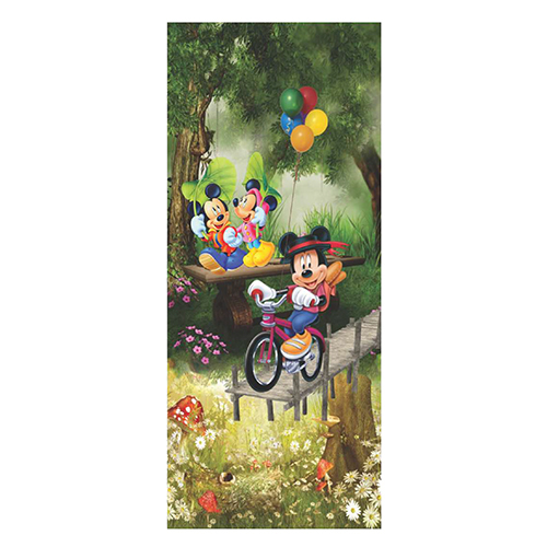 SP-229 Plywood Door For Kids Room
