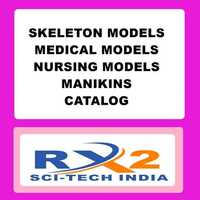 Medical Models Catalog - Laminated, 12 Inch Size | Application For Educational Use In Teaching And Research