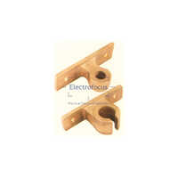 Golden Earthing Rod Brackets