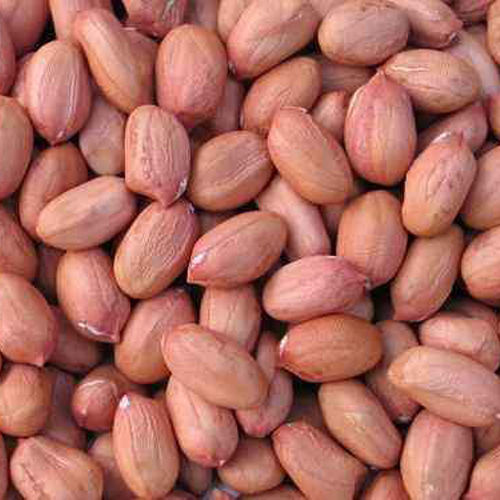 Common Fresh Ground Nut