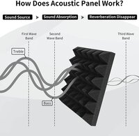 Acoustic Pyramid Foam Panel