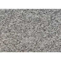 Platinum White Granite Slab