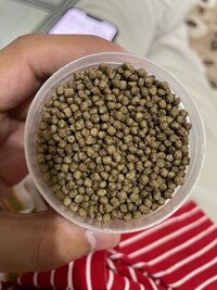 1mm Floating Fish Feed - Color: Brown