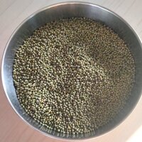 Whole Green Moong - Organic, Normal Grain Size, Green Color | 100% Pure Mung Beans, Naturally Dried, Common Bean Variety