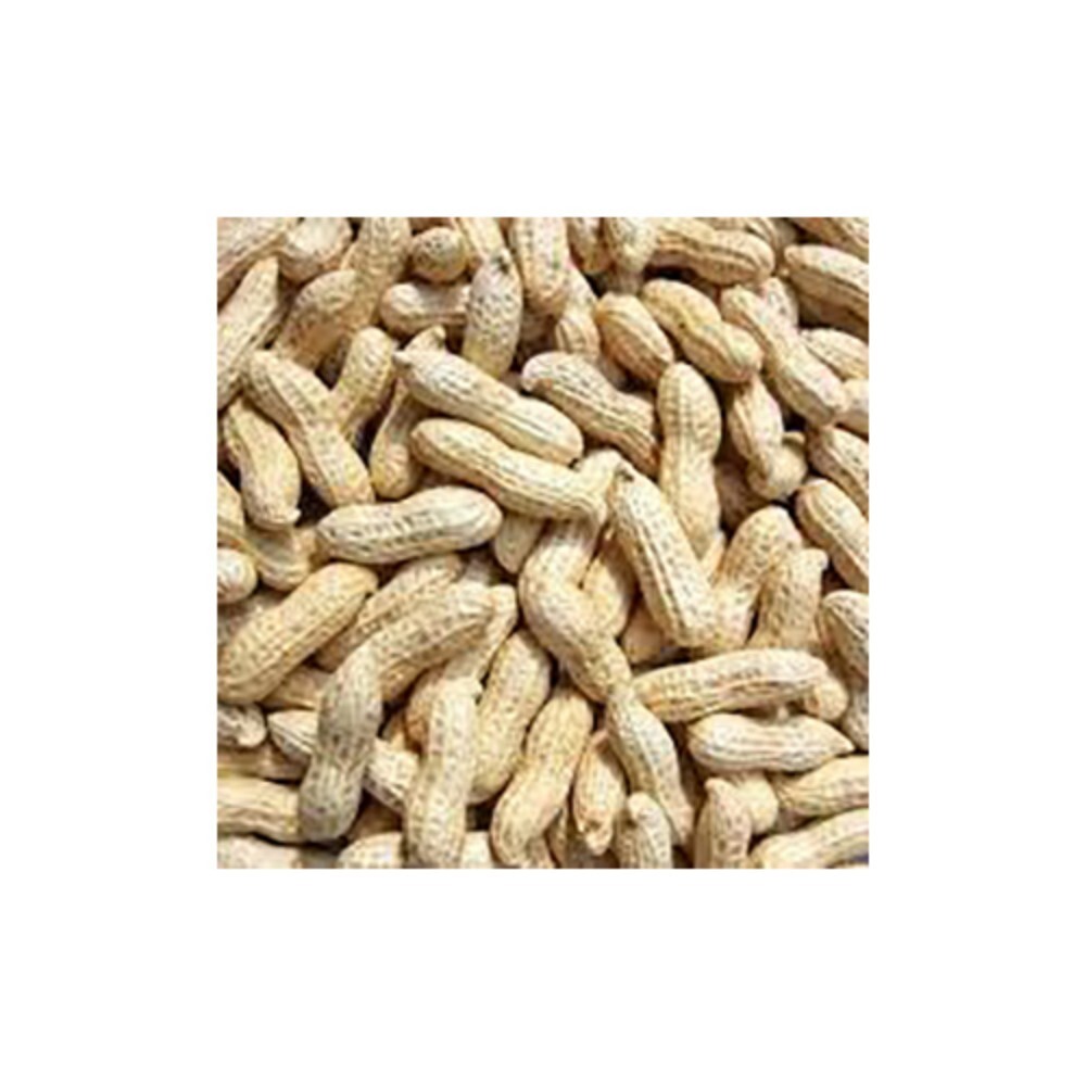 Groundnut Peanut - Cultivation Type: Common