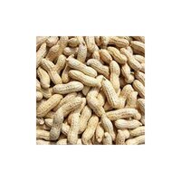 Groundnut Peanut - Cultivation Type: Common
