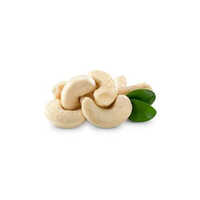 Common Dry Cashew Nut