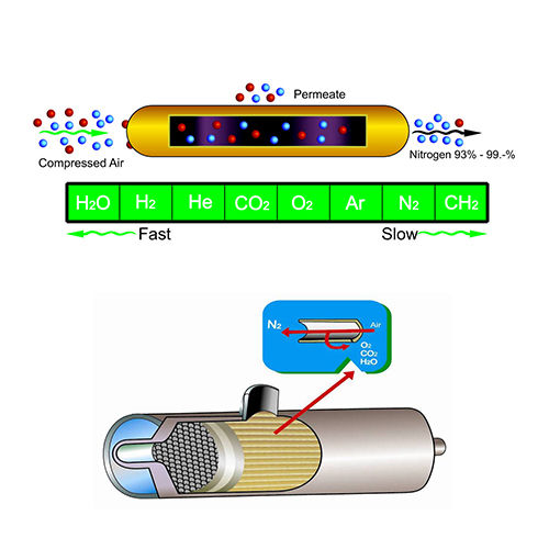 Membrane Nitrogen Generation System