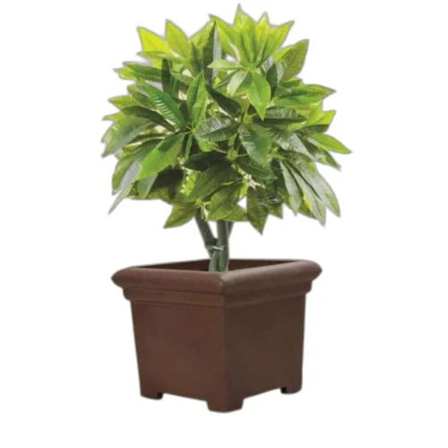 3123 Roto Moulding Planter - Color: Brown