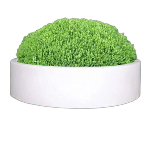 3129 Roto Moulding Planter - Color: White