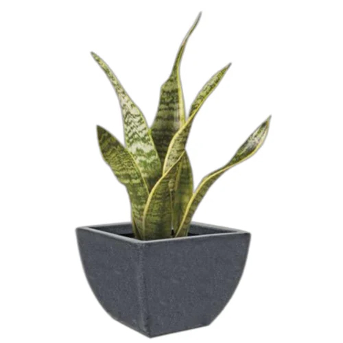 9154 N Roto Moulding Planter - Color: 9 Colors Available (Terracotta