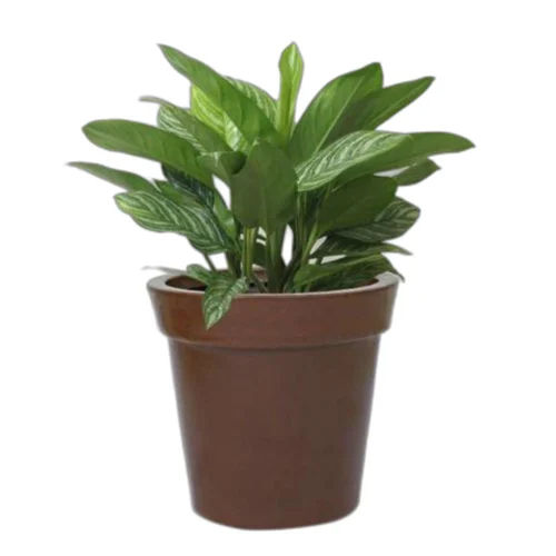 9155 N Roto Moulding Planter - Color: Brown