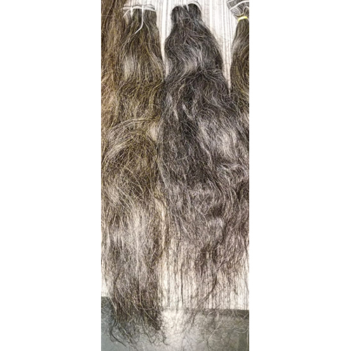 Grey Human Hair