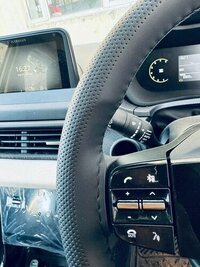 Leather Steering Wheel Cover - Vehicle Type: Car
