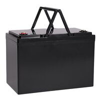 12V 100Ah LifePO4 Battery