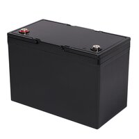 12V 100Ah LifePO4 Battery