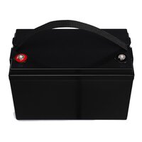 12V 120Ah LifePO4 Battery