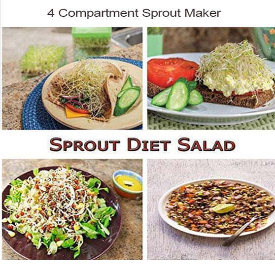 PLASTIC 4 COMPARTMENT SPROUT MAKER, WHITE