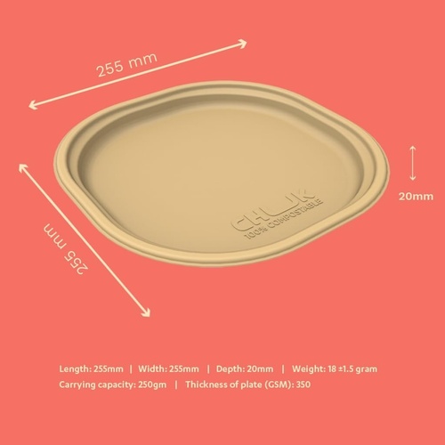 10 Inch Sugarcane Bagasse Disposable Plates