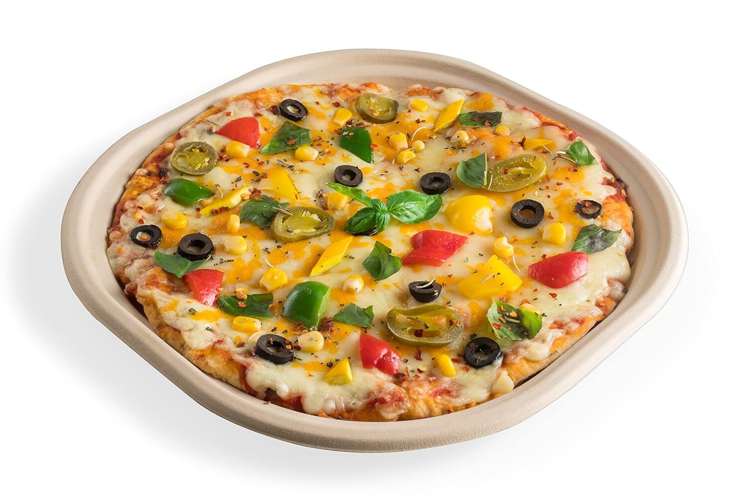 10 Inch Sugarcane Bagasse Disposable Plates