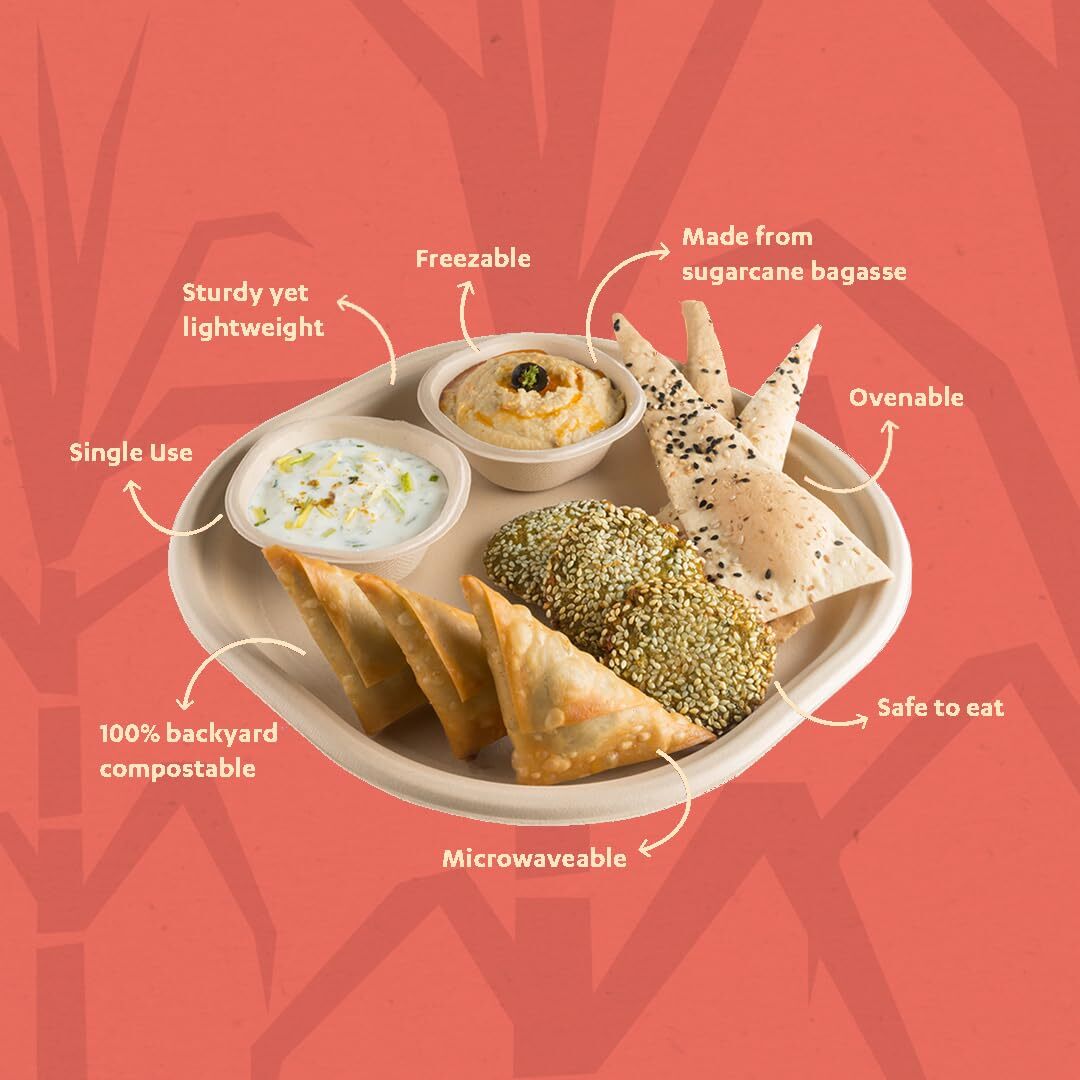 10 Inch Sugarcane Bagasse Disposable Plates