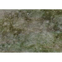 Grey William Marble - Natural Marble Slab, 18-20 Mm Thickness, Polished Surface, Grey Color, 2.71 G/cm3 Density, 0.1% Water Absorption