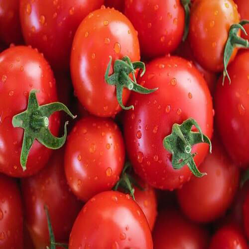 Fresh Tomato Pieces - 0% Moisture Content, Raw Processed for Natural Flavor and Nutrients, Ideal for Salads and Sandwiches