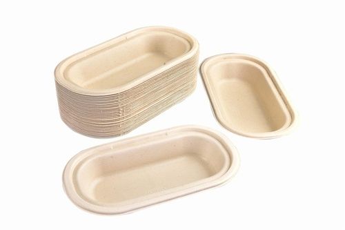 500ML BAGASSE DISPOSABLE CONTAINER