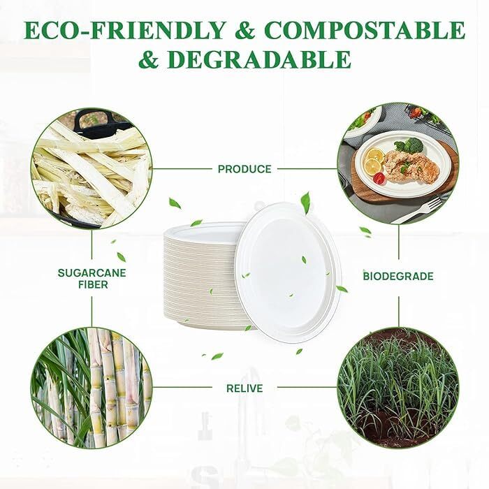 7 Inch White Bagasse Disposable Plate