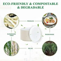 7 Inch White Bagasse Disposable Plate