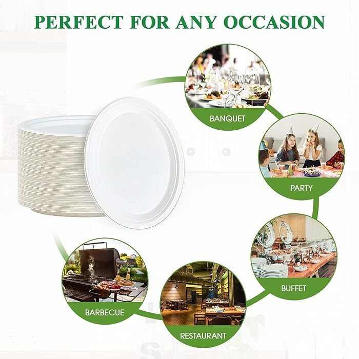 7 Inch White Bagasse Disposable Plate