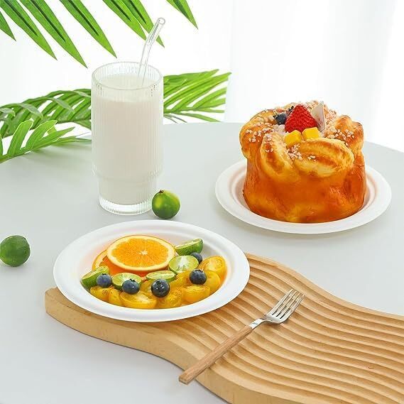 7 Inch White Bagasse Disposable Plate