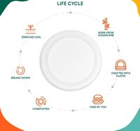9 Inch White Bagasse Disposable Plate