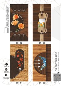 Premium Design Door Skin