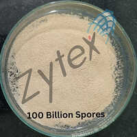 Probiotic Culture Of Bacillus Subtilis Spores