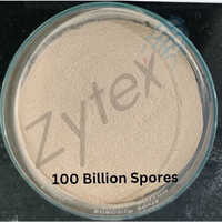 Probiotic Culture Of Bacillus Coagulans Powder - Purity: High