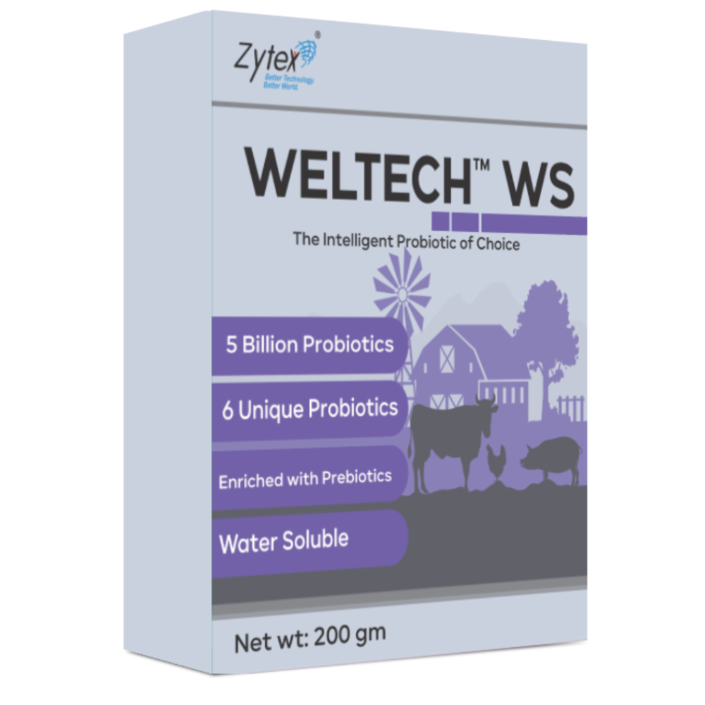 Animal feed water soluble probiotic blend WELTEC WS 5bn Formulations