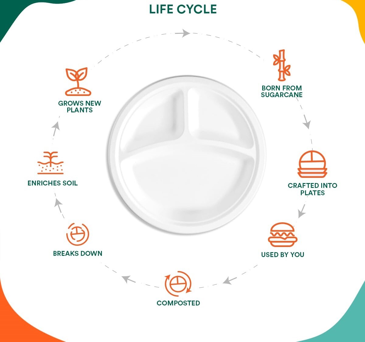 10 INCH 3CP WHITE BAGASSE MEAL TRAY